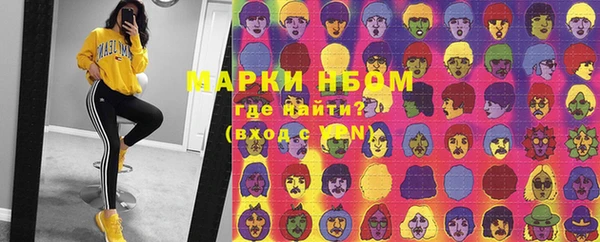 стафф Богданович
