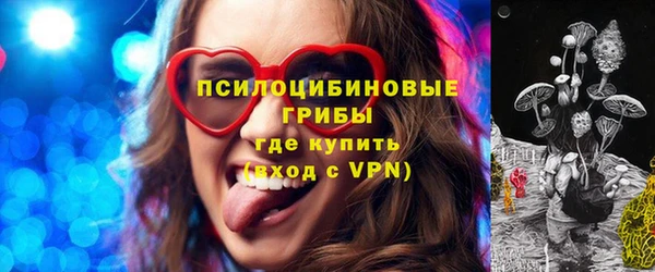 стафф Богданович
