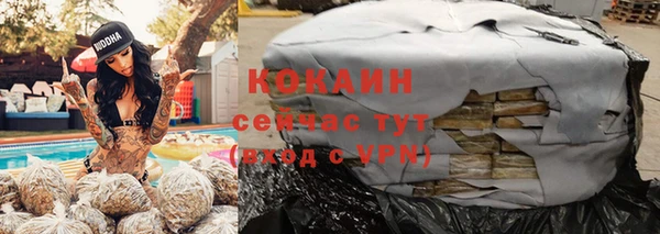 стафф Богданович