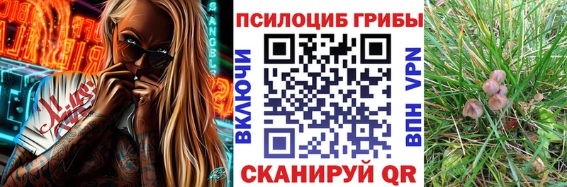 Псилоцибиновые грибы прущие грибы  Озёрск 