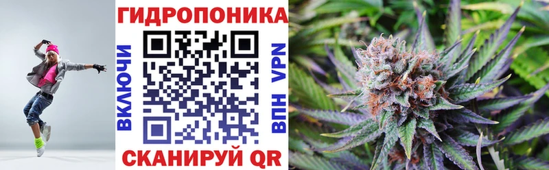 shop Telegram  Озёрск  Бошки Шишки планчик 